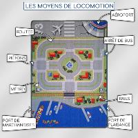 Tapis voiture mobility [95x133cm]